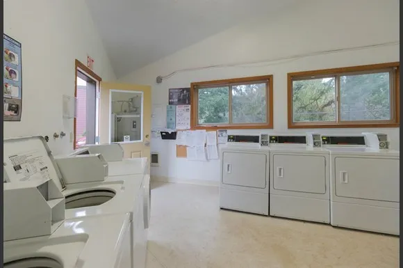 a living room with furniture and window