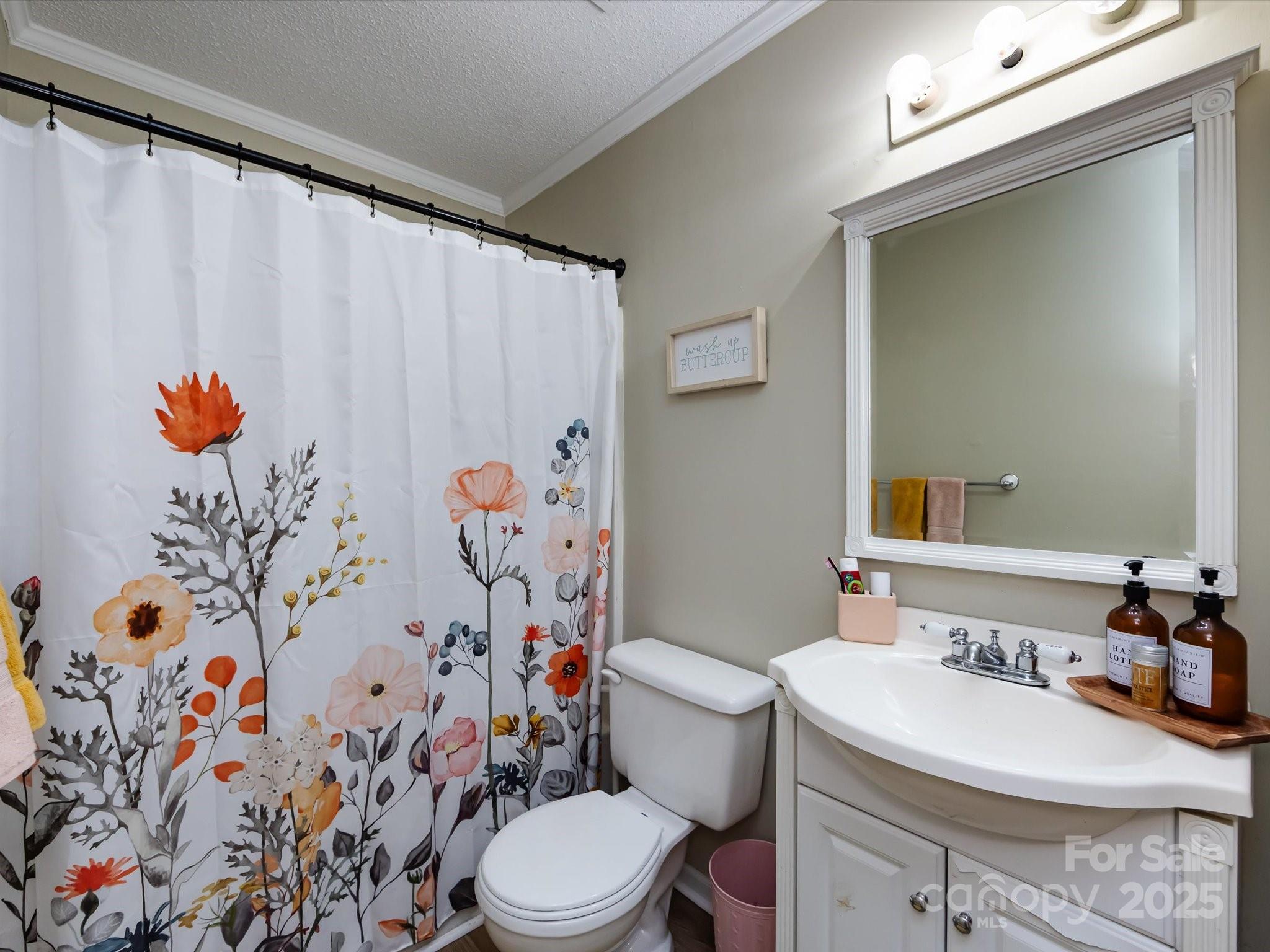 3910 Faith Church Road Indian Trail, NC 28079 - Photo 34 of 47 a bathroom with a sink a toilet and shower curtain