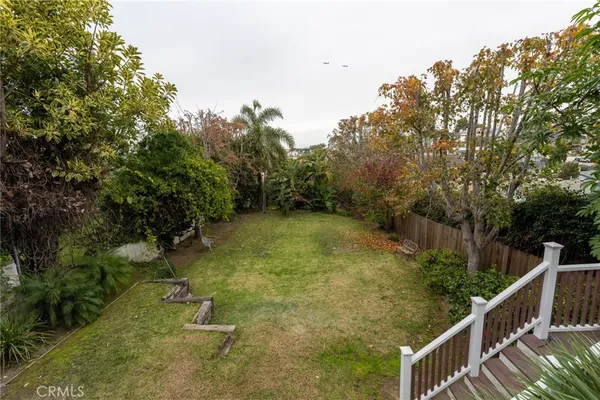 a view of a yard with a tree