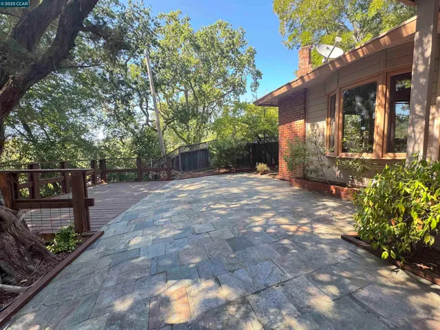 a view of a yard with an tree