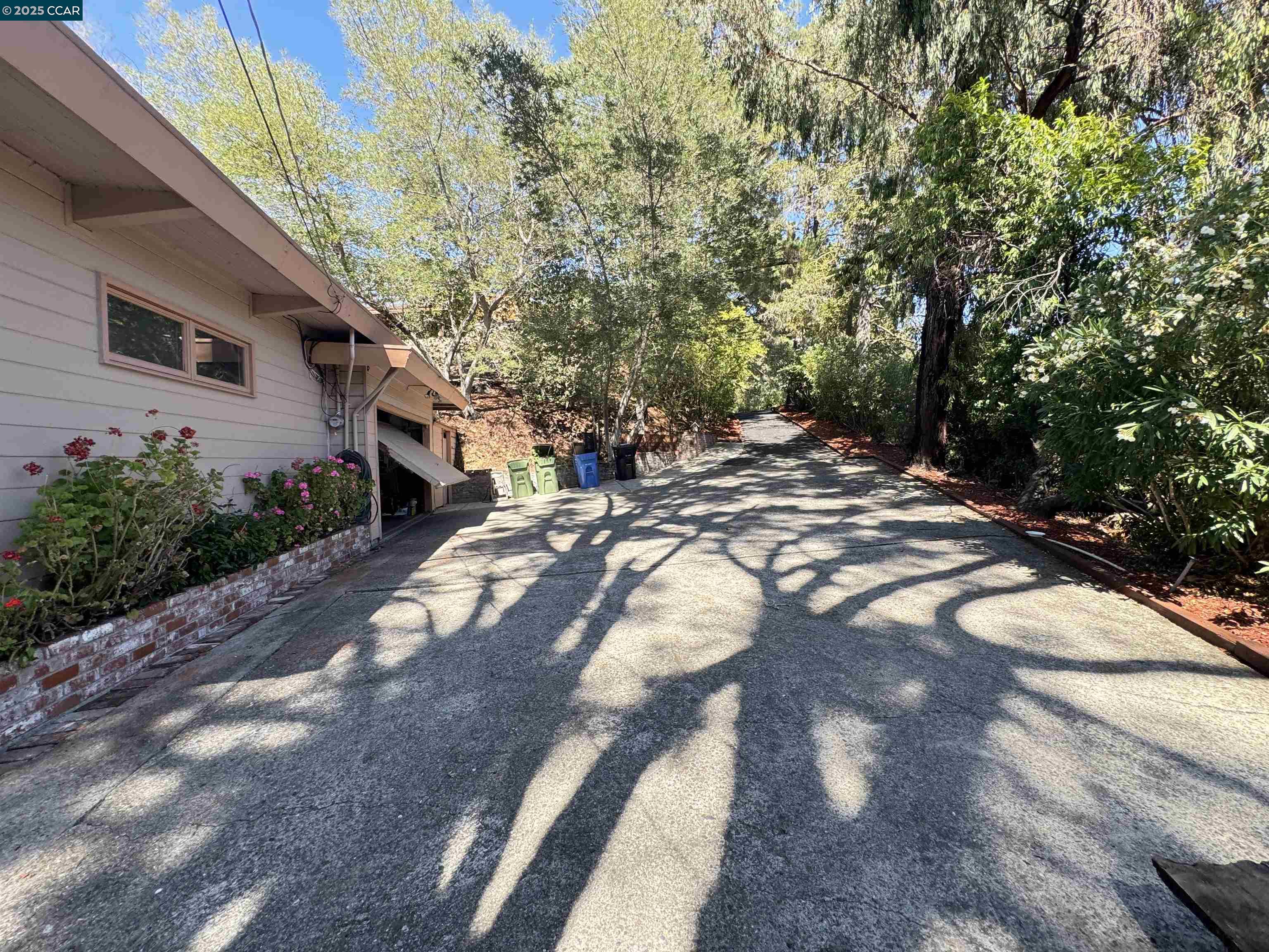 919 Janet Lane Lafayette, CA 94549 - Photo 22 of 29 a view of a yard with an tree