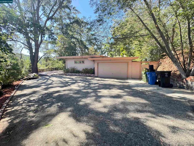 a view of a yard with plants and trees