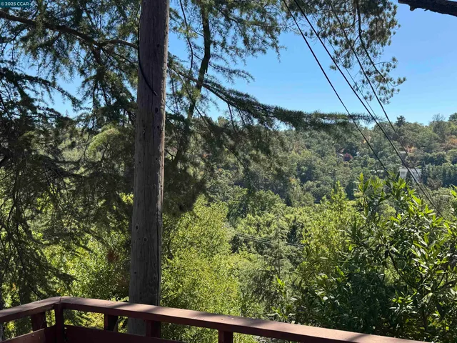 a view of a forest from a window