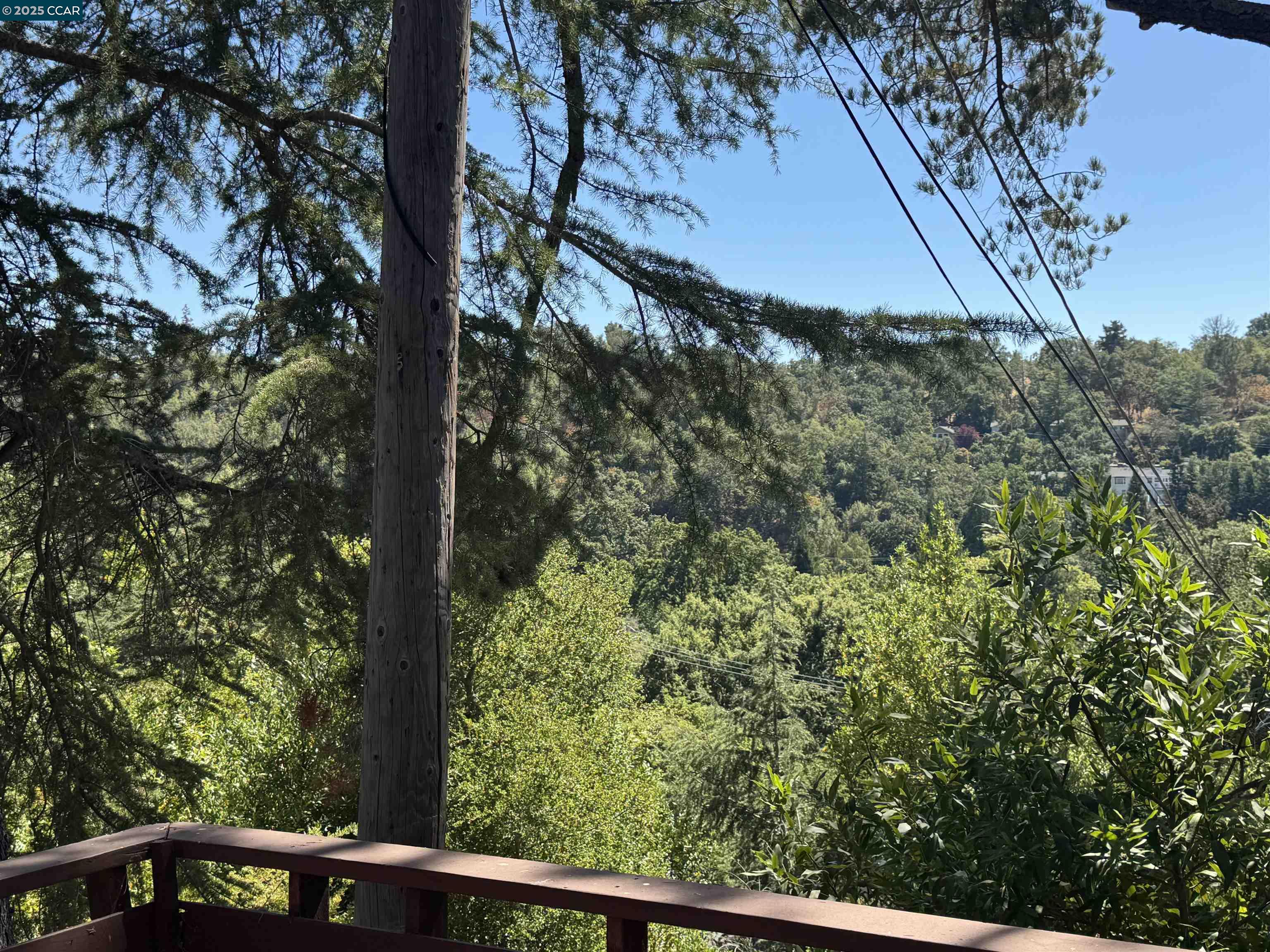 919 Janet Lane Lafayette, CA 94549 - Photo 4 of 29 a view of a forest from a window