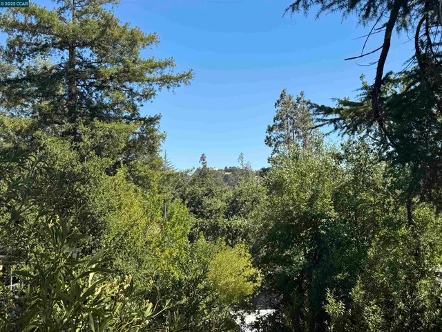 a view of a house with a tree in the background