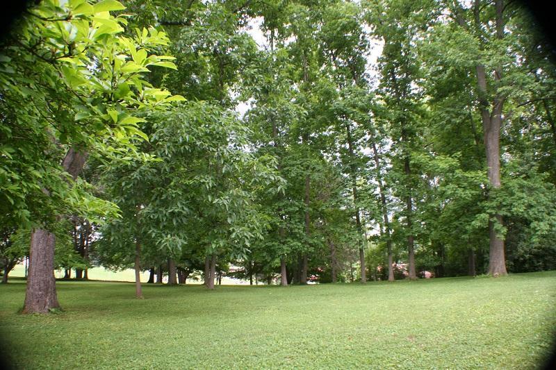 536 Fairgrounds Road Mount Vernon, OH 43050 - Photo 24 of 24 Gallery Image 24
