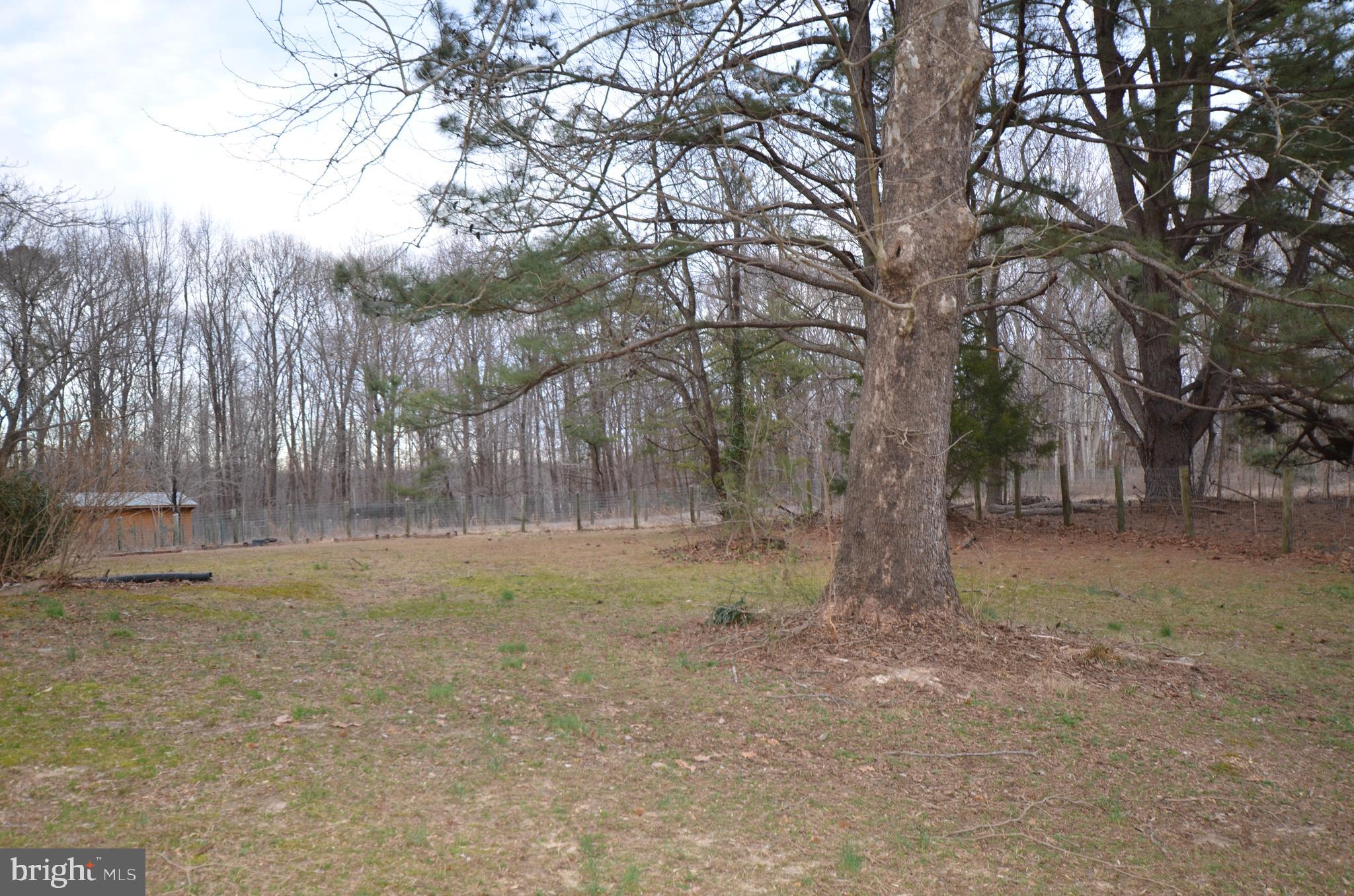 1931 Watson Road Owings, MD 20736 - Photo 31 of 45 Backyard