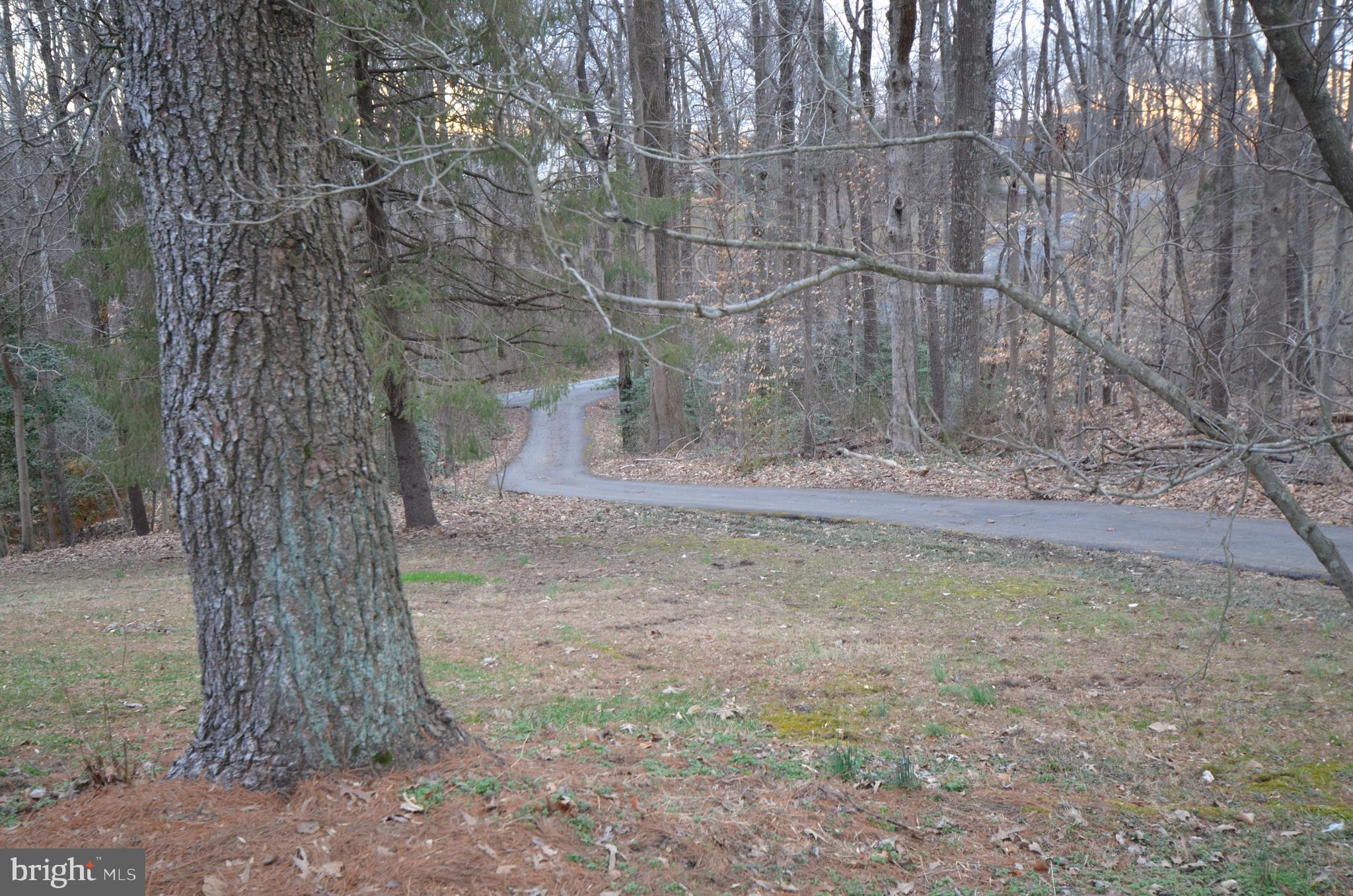 1931 Watson Road Owings, MD 20736 - Photo 45 of 45 Drive to front of house