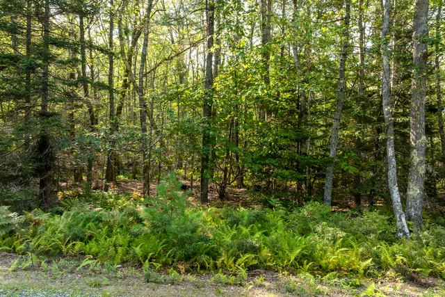 $120,000 | M4-l12.30b McCarty Cove Road, Westport Island, ME 04578