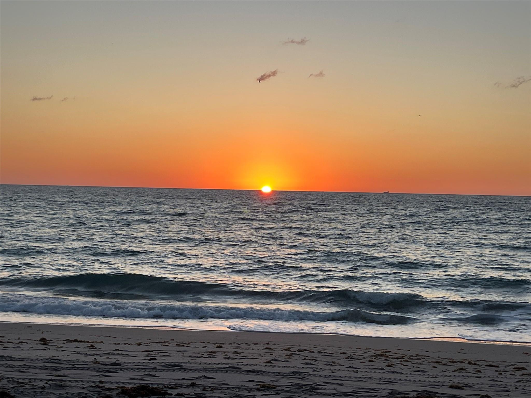 1450 North Riverside Drive, Unit 204 Pompano Beach, FL 33062 - Photo 10 of 10 Beach sunrise