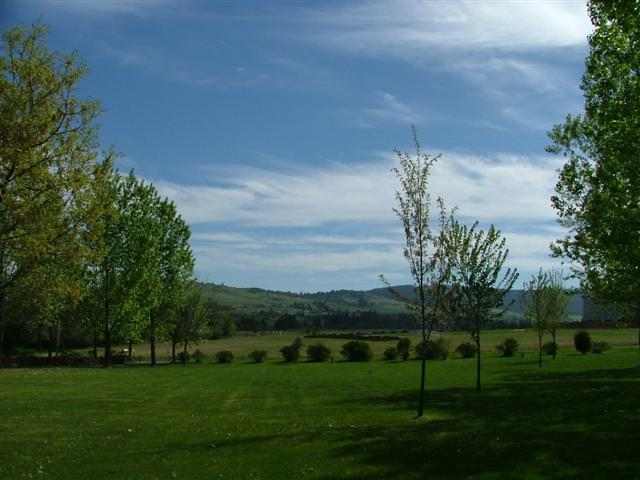 7524 South Regal Road Spokane, WA 99223 - Photo 2 of 9