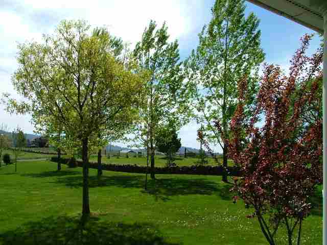 7524 South Regal Road Spokane, WA 99223 - Photo 3 of 9