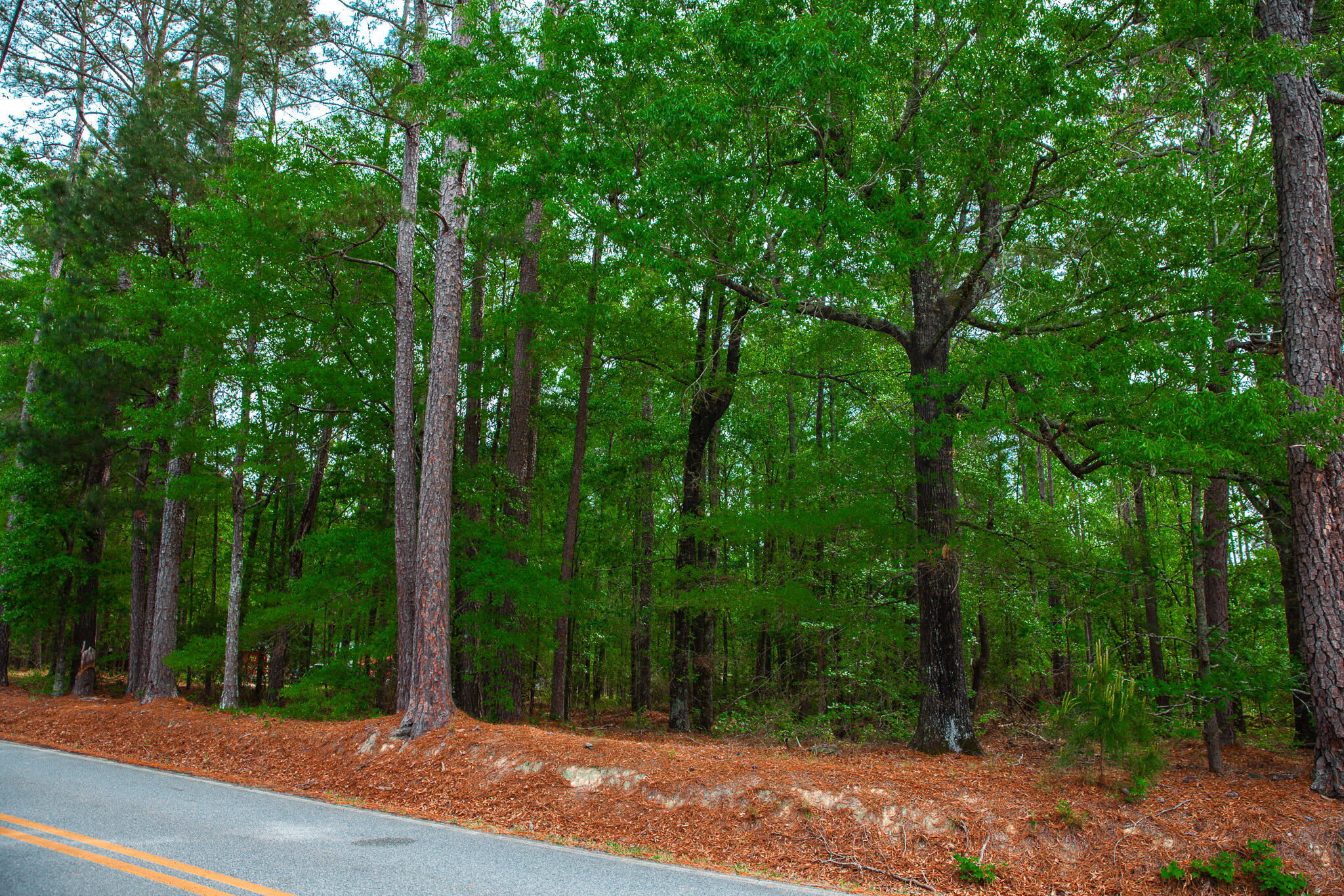 1223 Appling Harlem Road Harlem, GA 30814 - Photo 2 of 11 IMG_5288