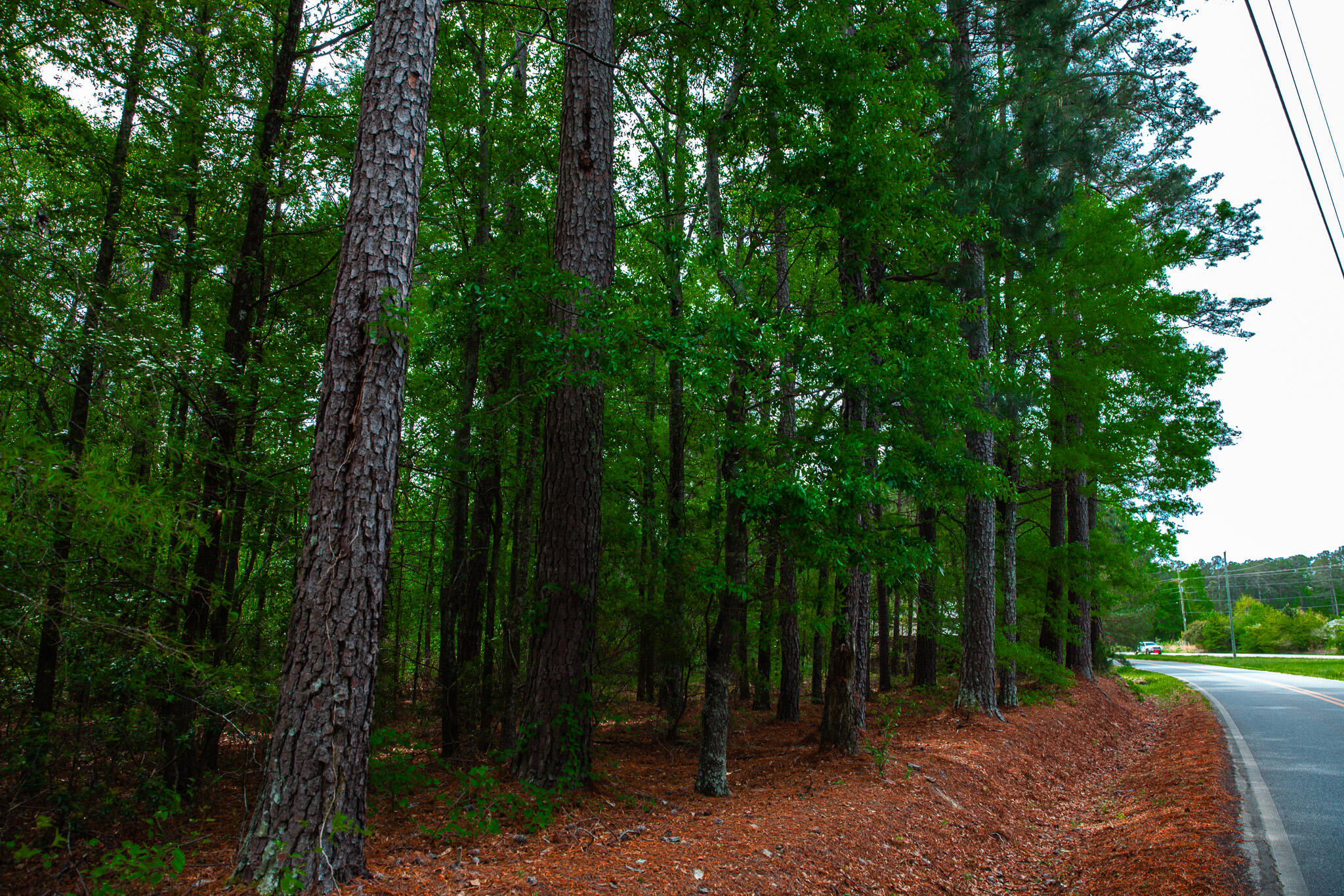 1223 Appling Harlem Road Harlem, GA 30814 - Photo 3 of 11 IMG_5289