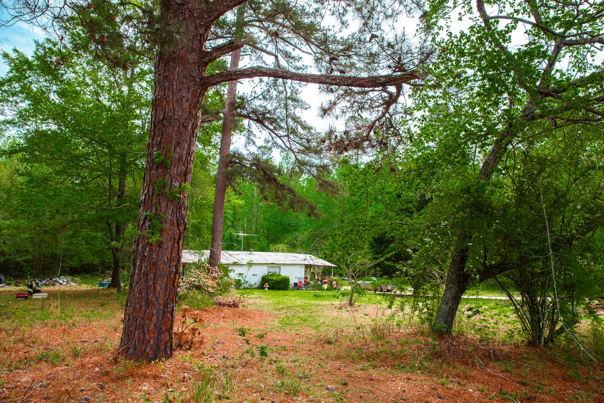1223 Appling Harlem Road Harlem, GA 30814 - Photo 6 of 11 IMG_5292
