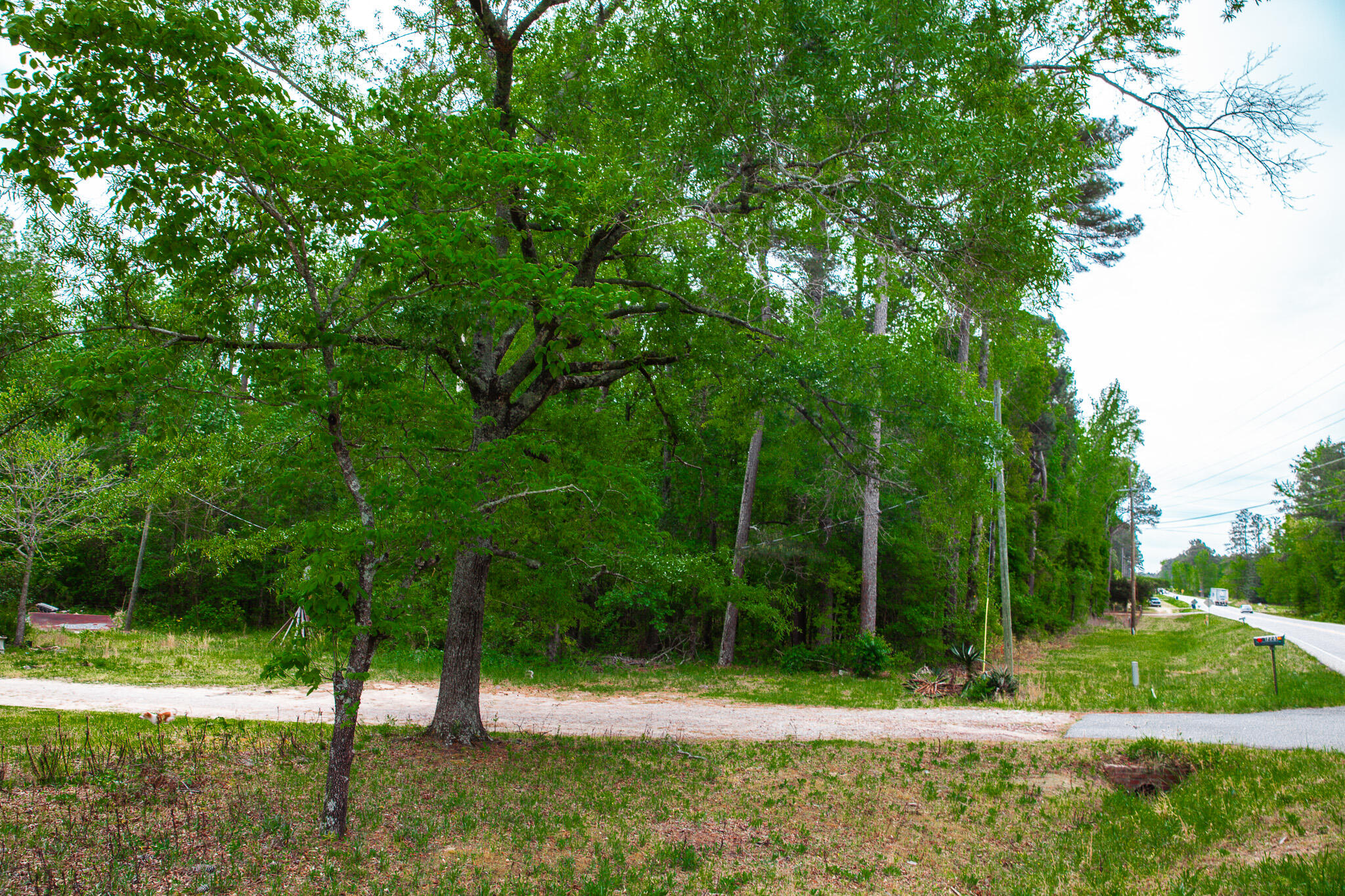 1223 Appling Harlem Road Harlem, GA 30814 - Photo 8 of 11 IMG_5294
