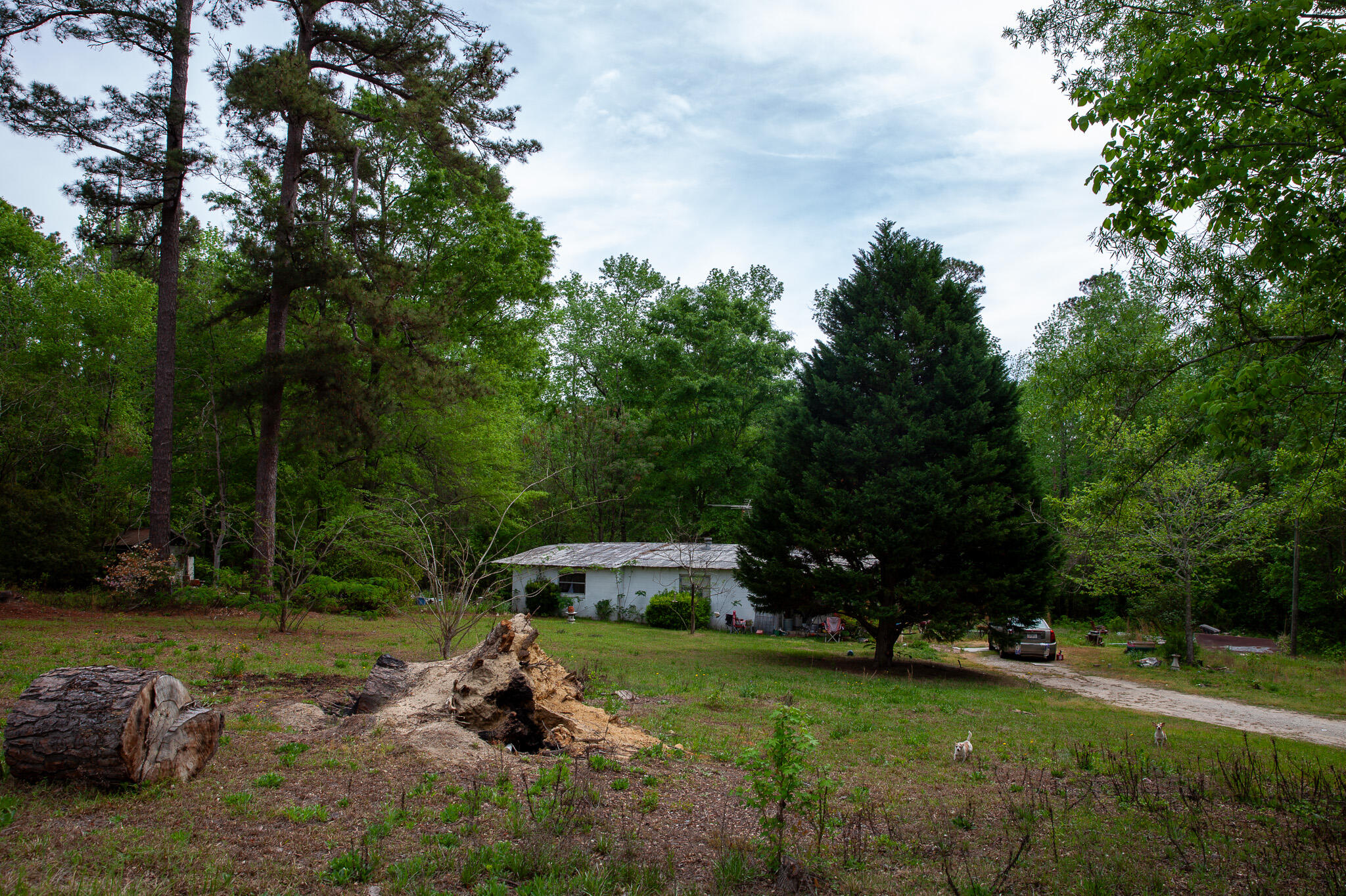 1223 Appling Harlem Road Harlem, GA 30814 - Photo 10 of 11 IMG_5296