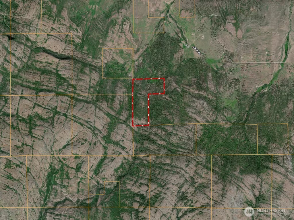 1-xx Knox Road Riverside, WA 98849 - Photo 4 of 6 a view of a yard