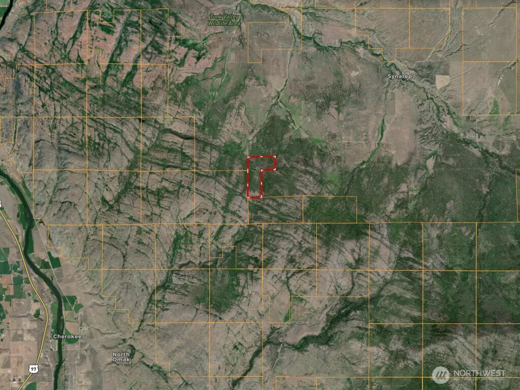 1-xx Knox Road Riverside, WA 98849 - Photo 5 of 6 a view of a yard