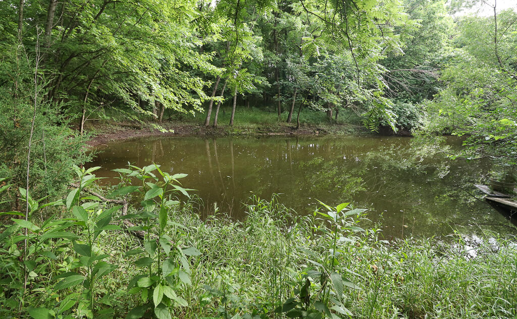 0 East Valley Water Mill Road Springfield, MO 65803 - Photo 29 of 29 IMG_5416