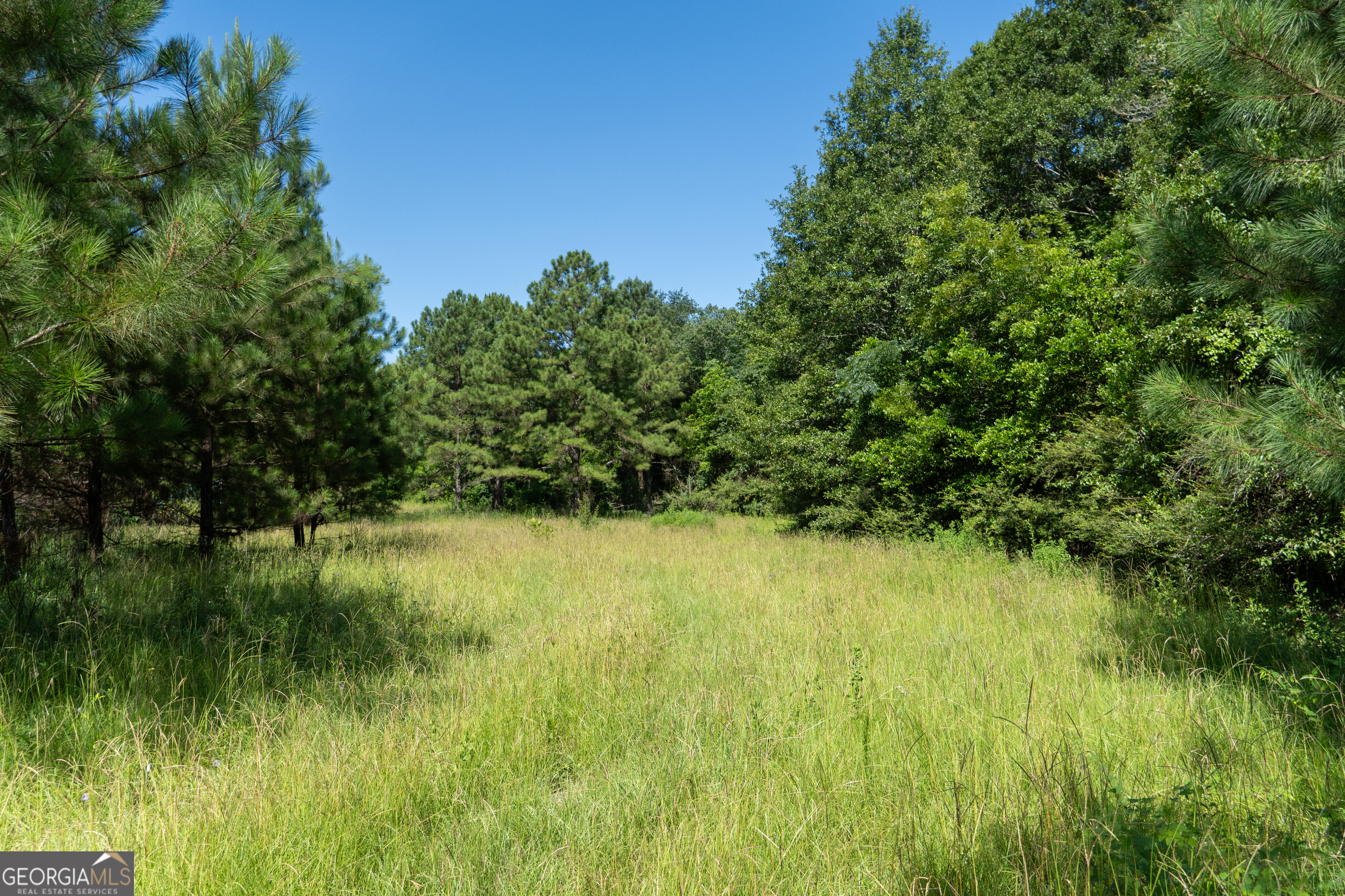 0 Plantation Road Warner Robins, GA 31093 - Photo 11 of 22 a view of a lake view with a garden