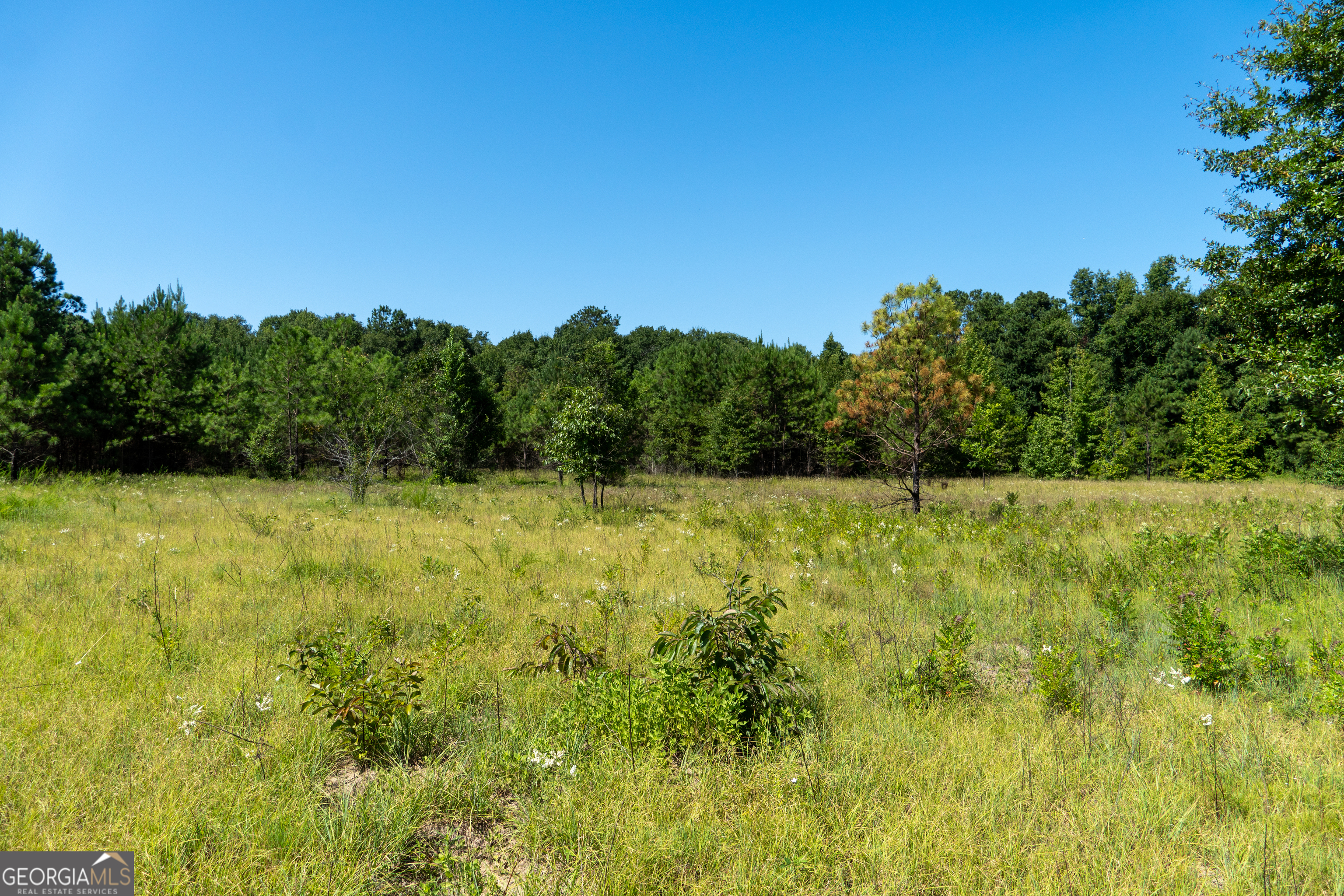0 Plantation Road Warner Robins, GA 31093 - Photo 12 of 22 a view of a yard with an outdoor space
