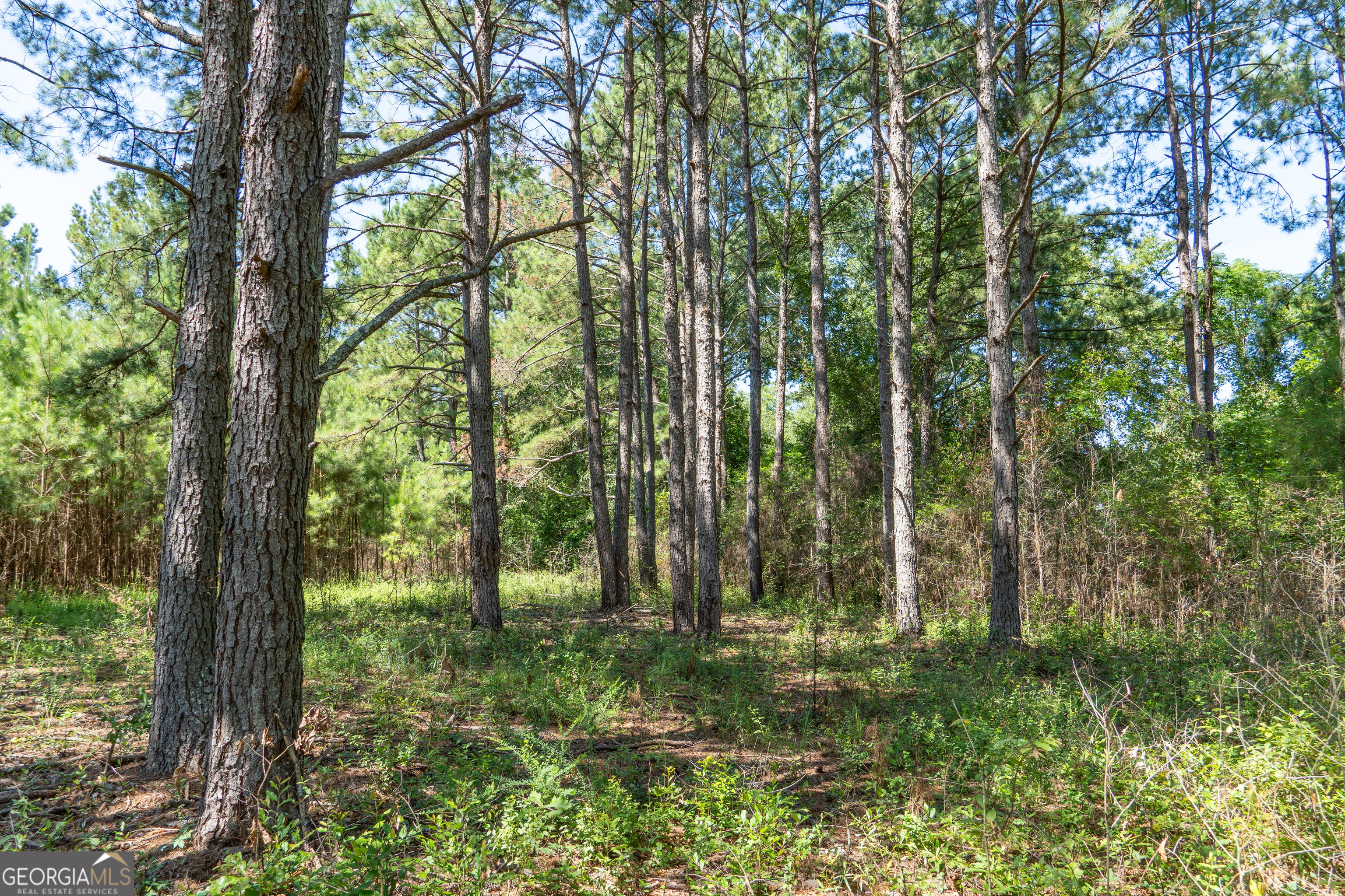0 Plantation Road Warner Robins, GA 31093 - Photo 13 of 22 a view of outdoor space and green space