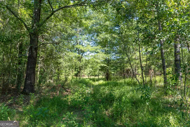 a view of outdoor space and trees