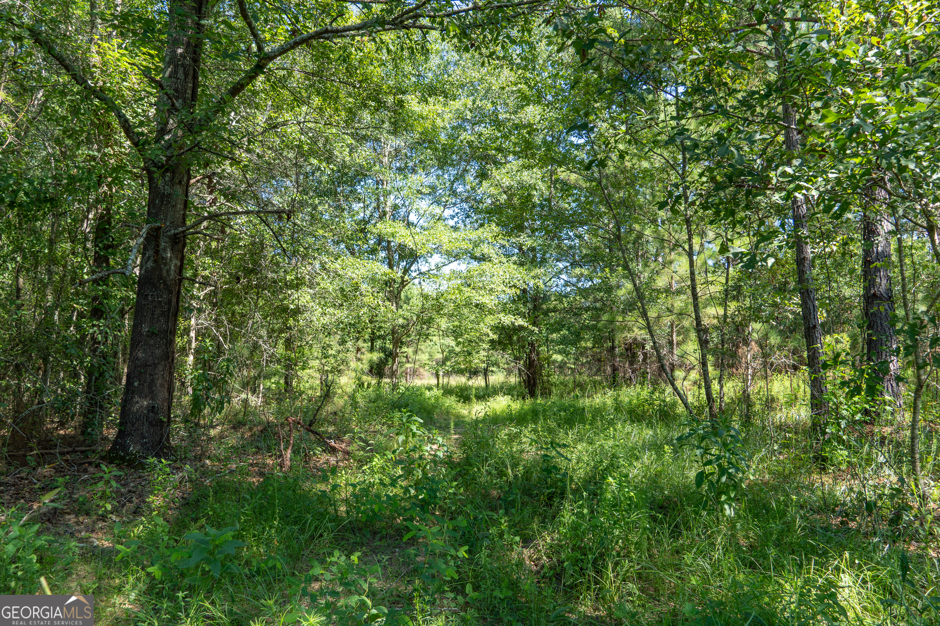 0 Plantation Road Warner Robins, GA 31093 - Photo 18 of 22 a view of a lush green forest