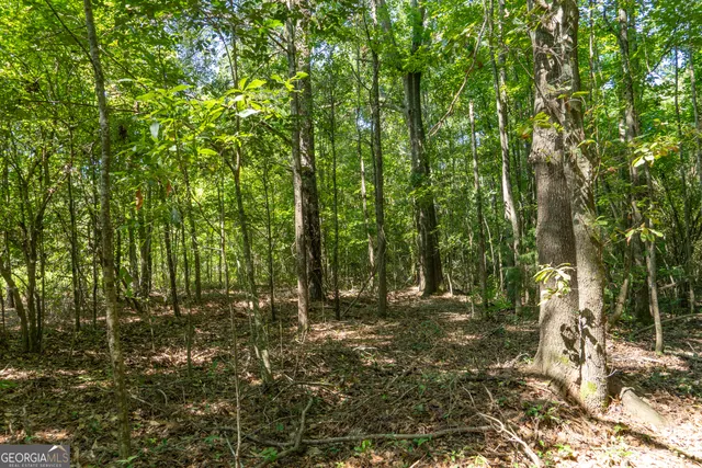 a backyard of a house with lots of green plants