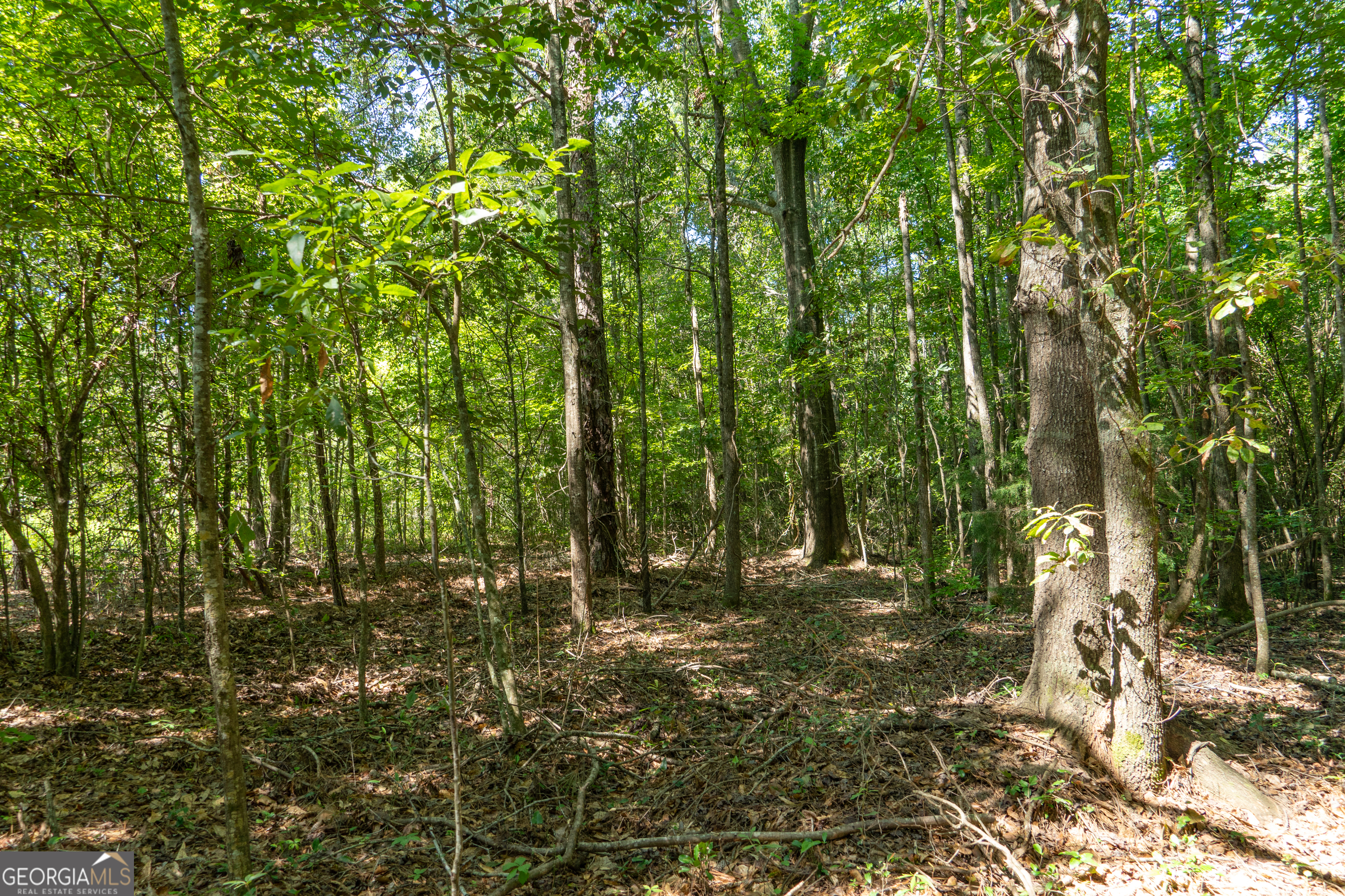 0 Plantation Road Warner Robins, GA 31093 - Photo 19 of 22 a view of outdoor space and trees