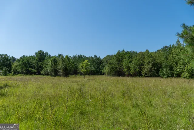 a view of field with trees in the background
