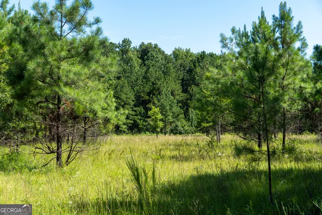 a view of swimming pool from a yard