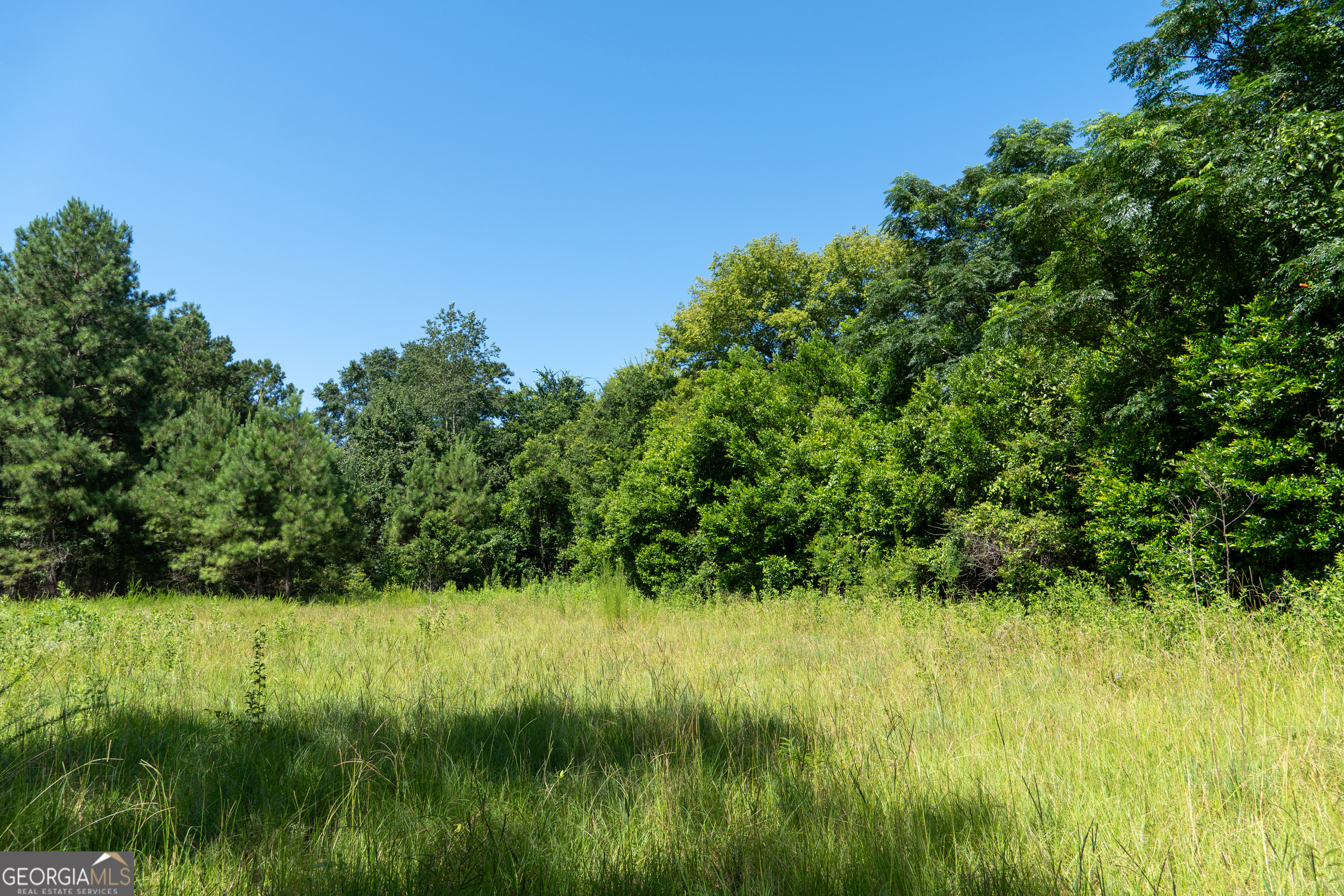 0 Plantation Road Warner Robins, GA 31093 - Photo 4 of 22