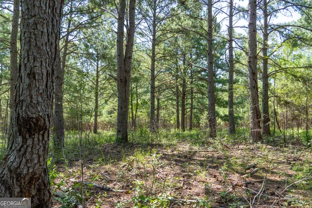 a view of swimming pool from a yard