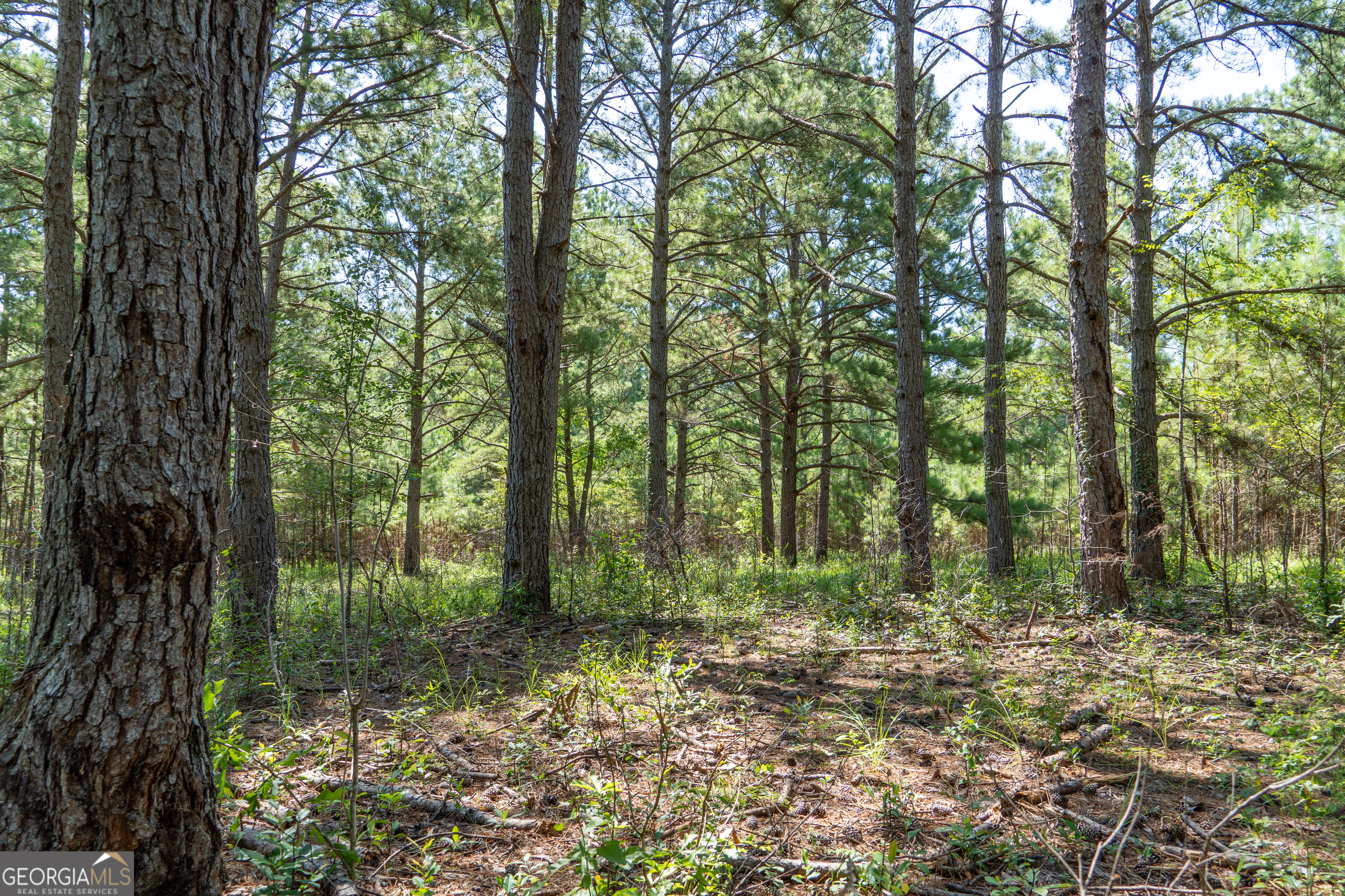 0 Plantation Road Warner Robins, GA 31093 - Photo 7 of 22 a view of outdoor space and green space