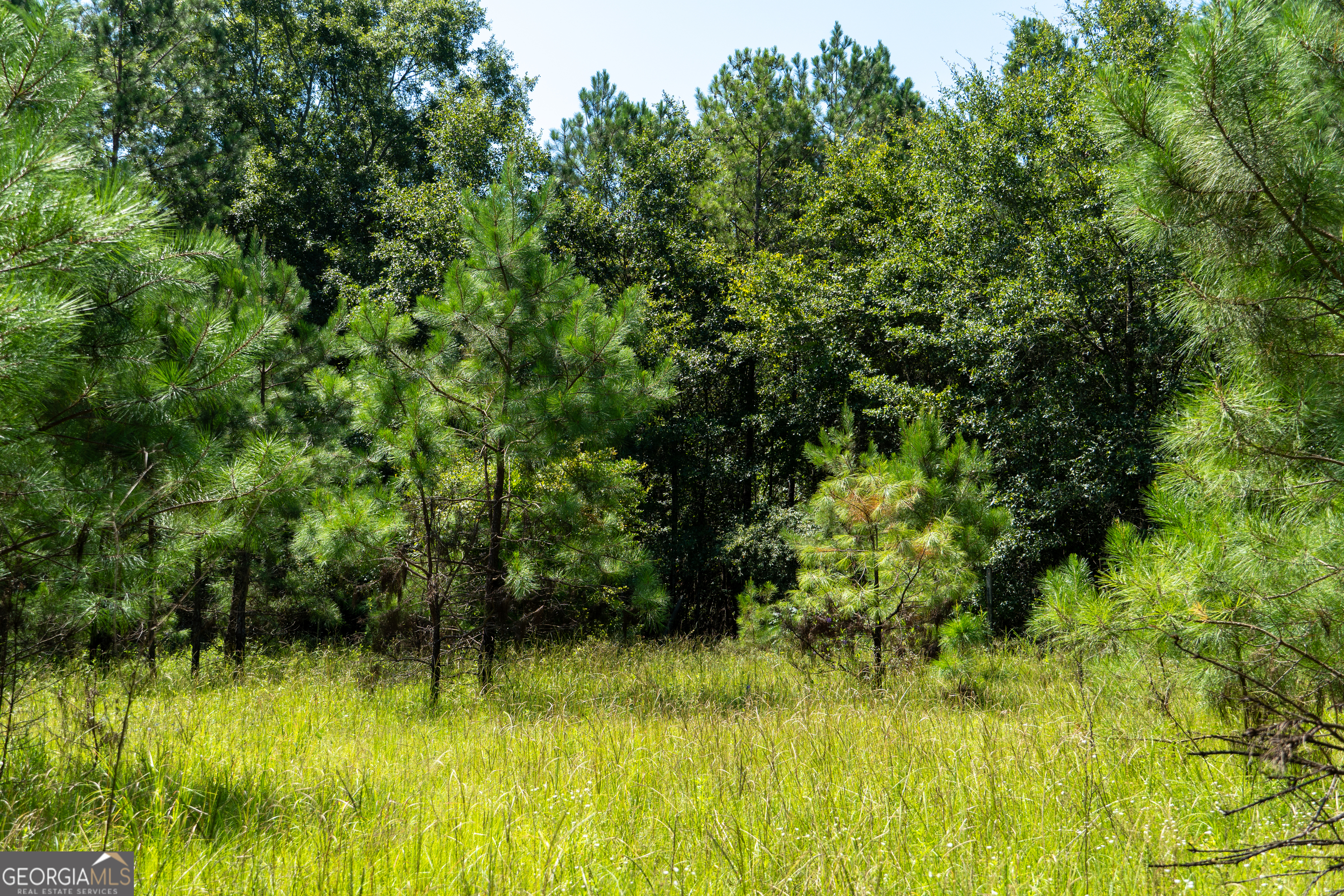 0 Plantation Road Warner Robins, GA 31093 - Photo 8 of 22 a view of swimming pool from a yard