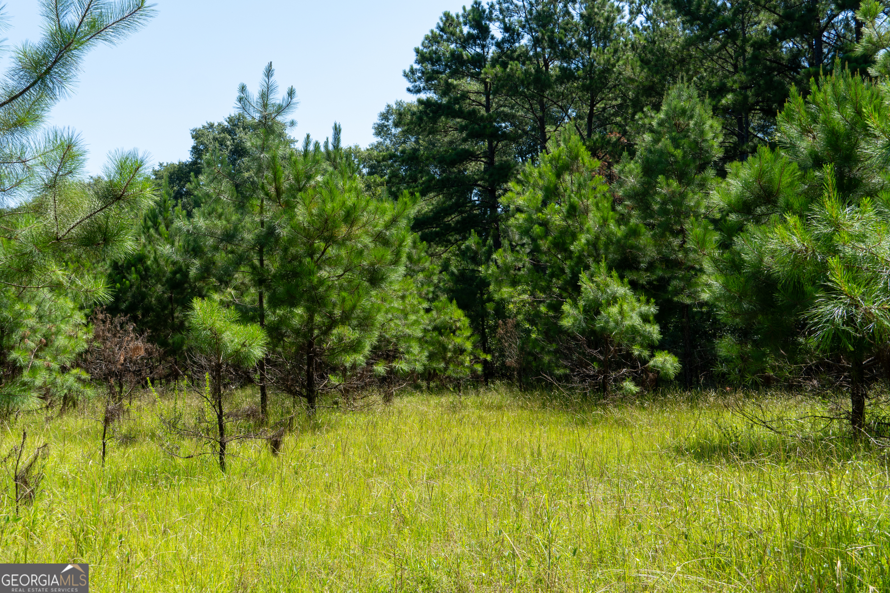 0 Plantation Road Warner Robins, GA 31093 - Photo 9 of 22 a view of swimming pool from a yard