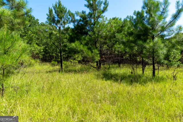 a view of a lake view with a garden