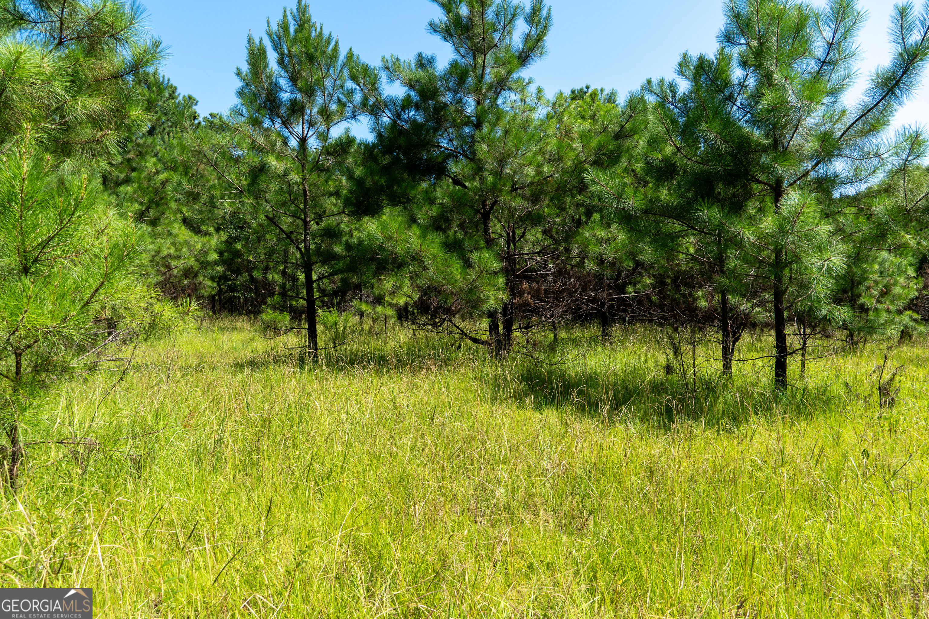 0 Plantation Road Warner Robins, GA 31093 - Photo 10 of 22 a view of a garden