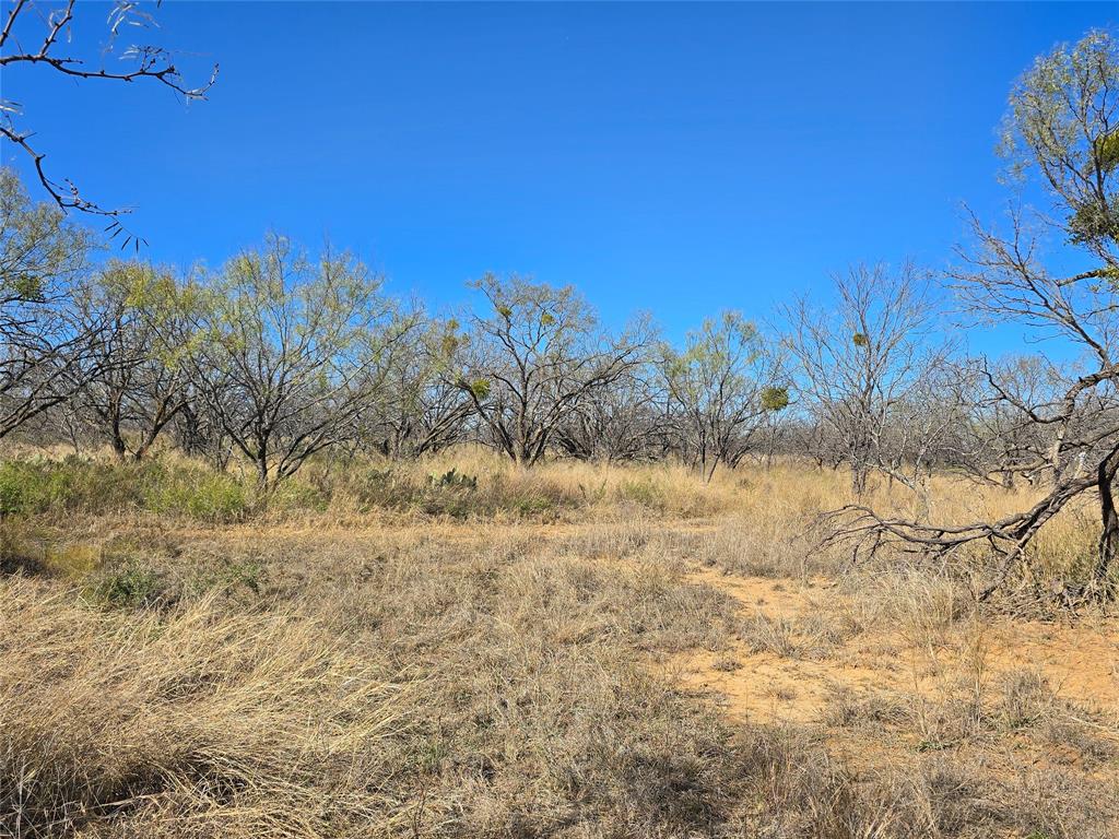 5780 County Road 266 Rochelle, TX 76872 - Photo 39 of 40