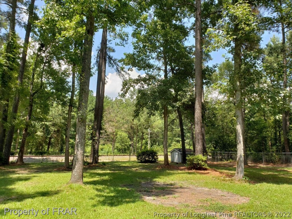 4598 Phillipi Church Road Raeford, NC 28376 - Photo 2 of 2 Gallery Image 2