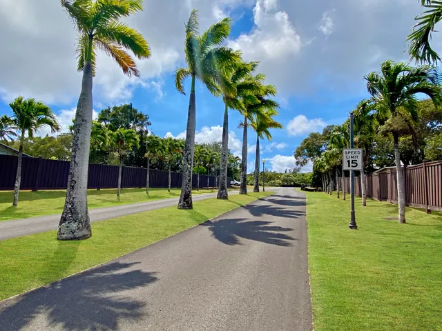 a view of a park and entertaining space