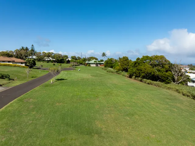 a view of a grassy field with an trees