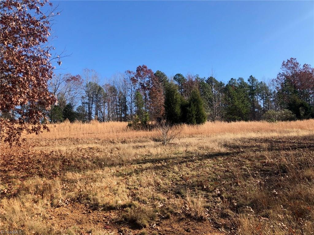 351 Cress Road Lexington, NC 27292 - Photo 7 of 8 Acreage