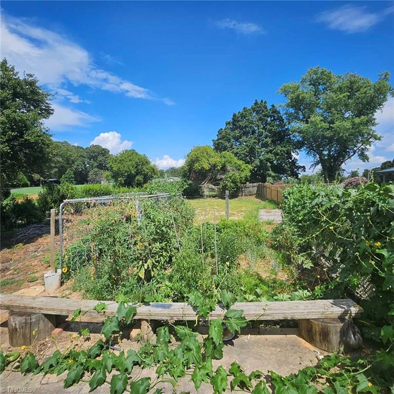 1943 Old Hollow Road Walkertown, NC 27051 - Photo 41 of 44