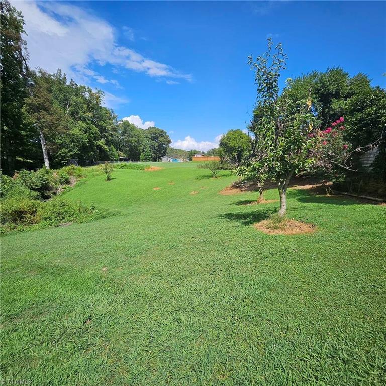 1943 Old Hollow Road Walkertown, NC 27051 - Photo 42 of 44