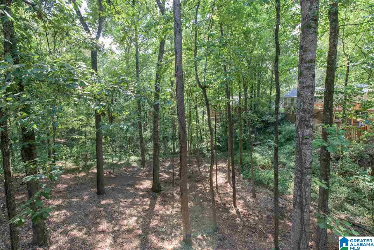 757 Dividing Ridge Drive, Unit 8 Birmingham, AL 35244 - Photo 44 of 44
