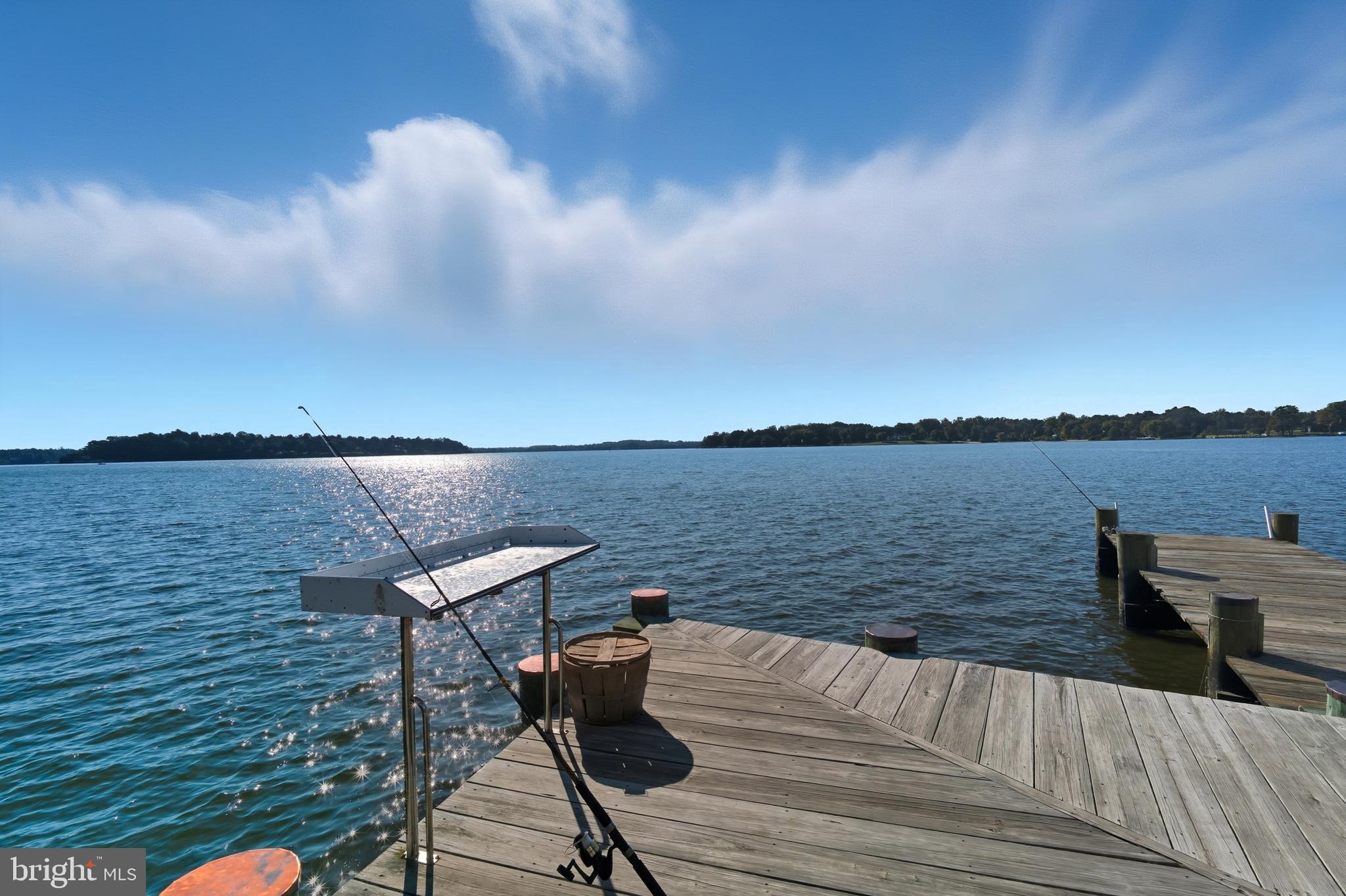 750 Cassidy Wharf Road Earleville, MD 21919 - Photo 104 of 143 Private Dock