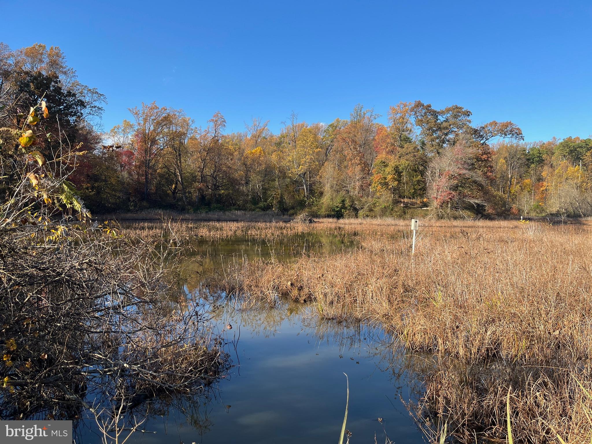 750 Cassidy Wharf Road Earleville, MD 21919 - Photo 129 of 143 Private Pond